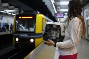 mascostas-subte-sbase